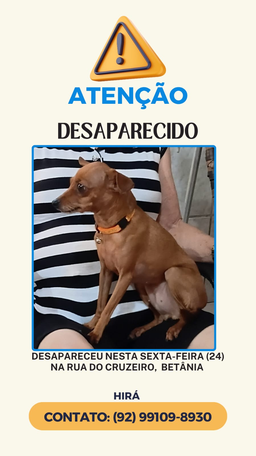 Família busca ajuda para localizar cadela desaparecida no Betânia