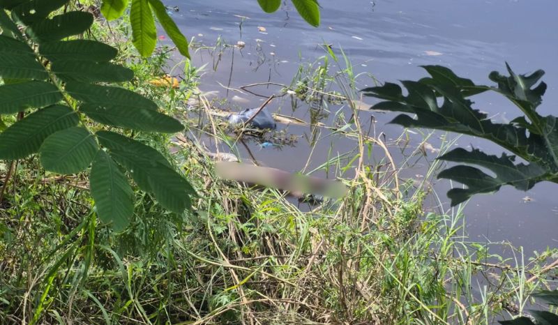 Corpo de homem é encontrado em igarapé na zona oeste de Manaus