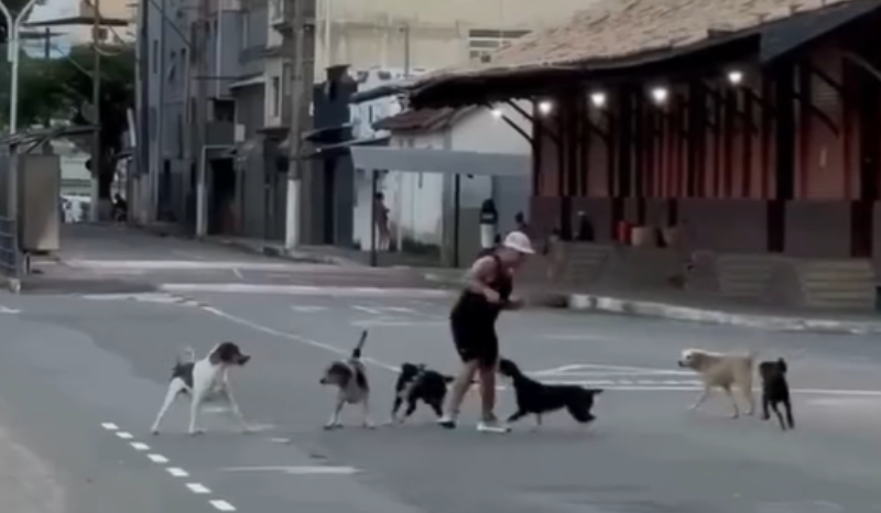 Corredor é cercado por cachorros durante treino em Minas Gerais
