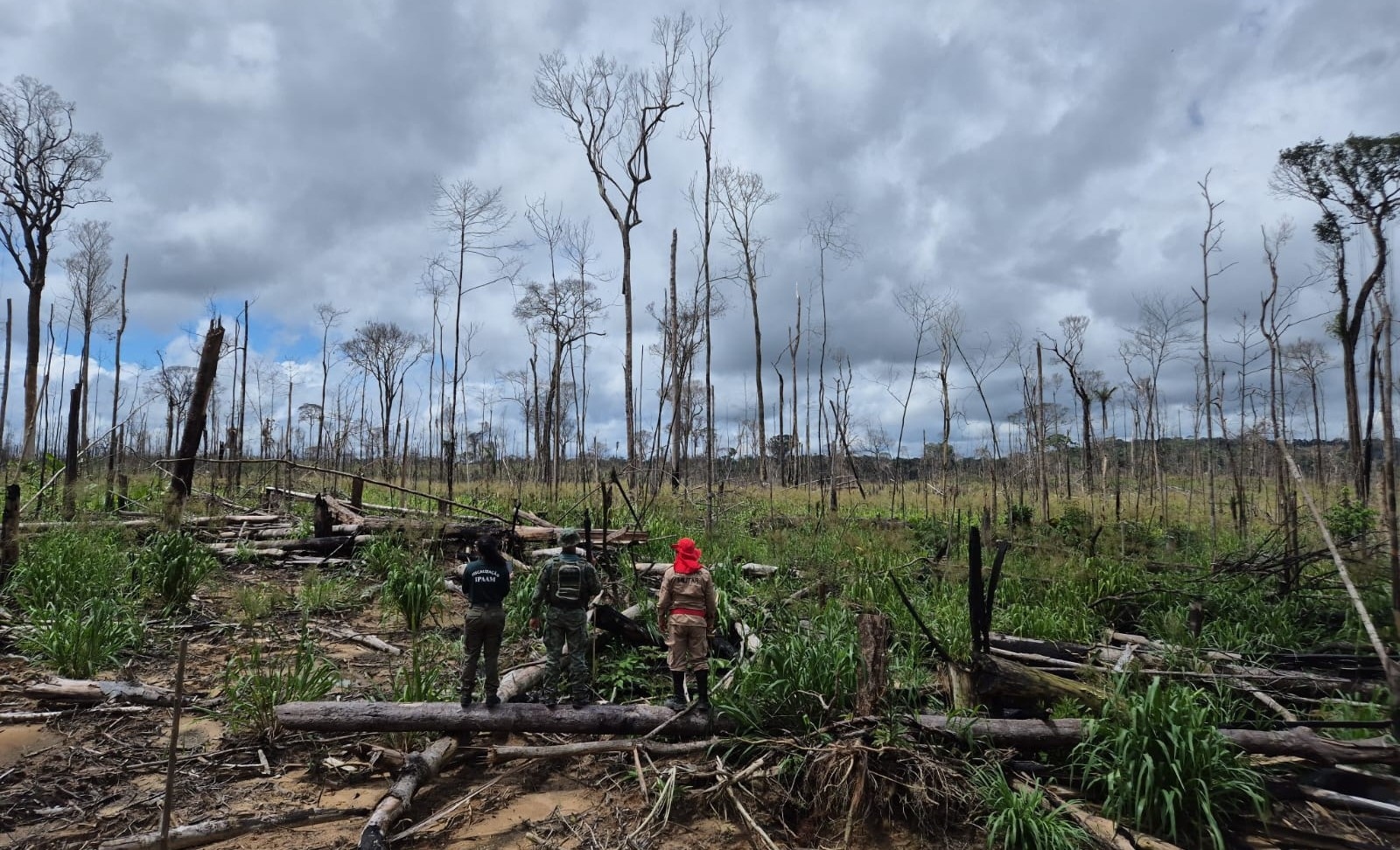 Ipaam impõe R$ 10 milhões em multas para combater desmatamento no AM
