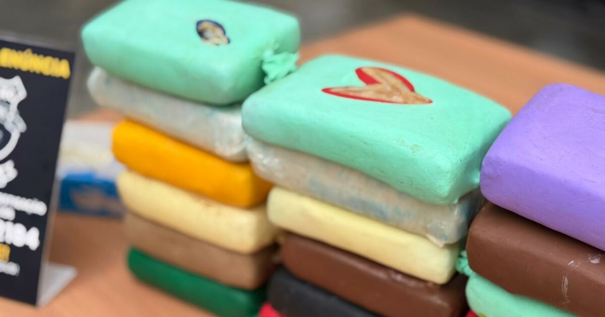 Polícia Civil apreende 84 quilos de drogas em Manaus com destino ao Pará