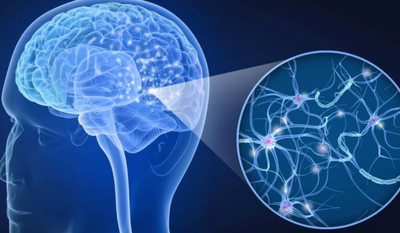 Nova Terapia com Anticorpo para Esclerose Múltipla é Aprovada pela Anvisa