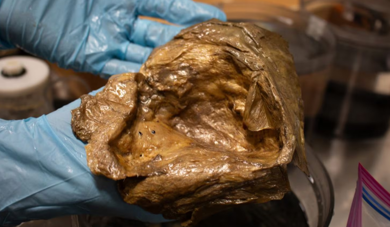 Cientistas Revelam Origem de Esfera Dourada Encontrada no Fundo do Mar