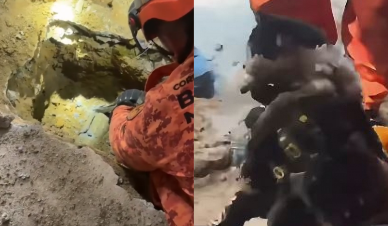 Filhote de gato é resgatado de tubulação em Teresópolis; veja o vídeo