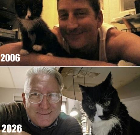 Homem e gato compartilham 20 anos de amor em fotos emocionantes