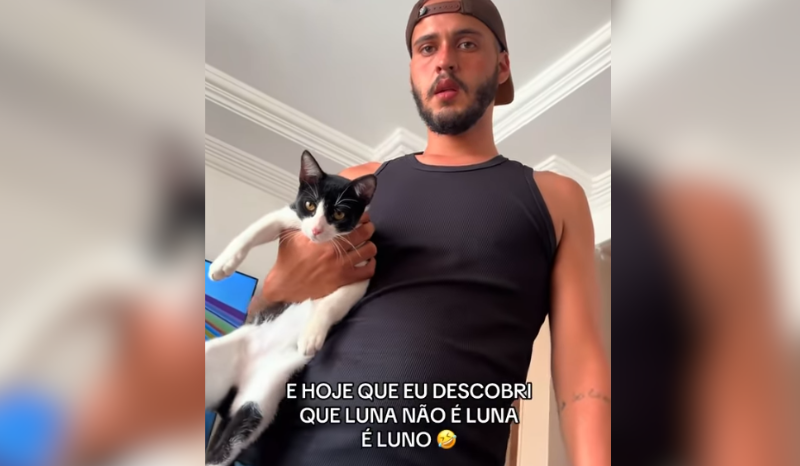Tutor descobre que gata Luna é macho e muda nome para Luno em Campos dos Goytacazes