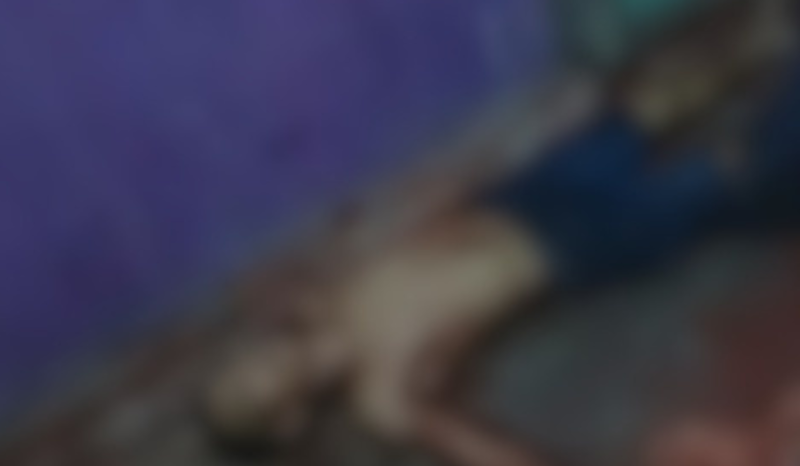 Homem morre esfaqueado e mulher é presa em Parintins