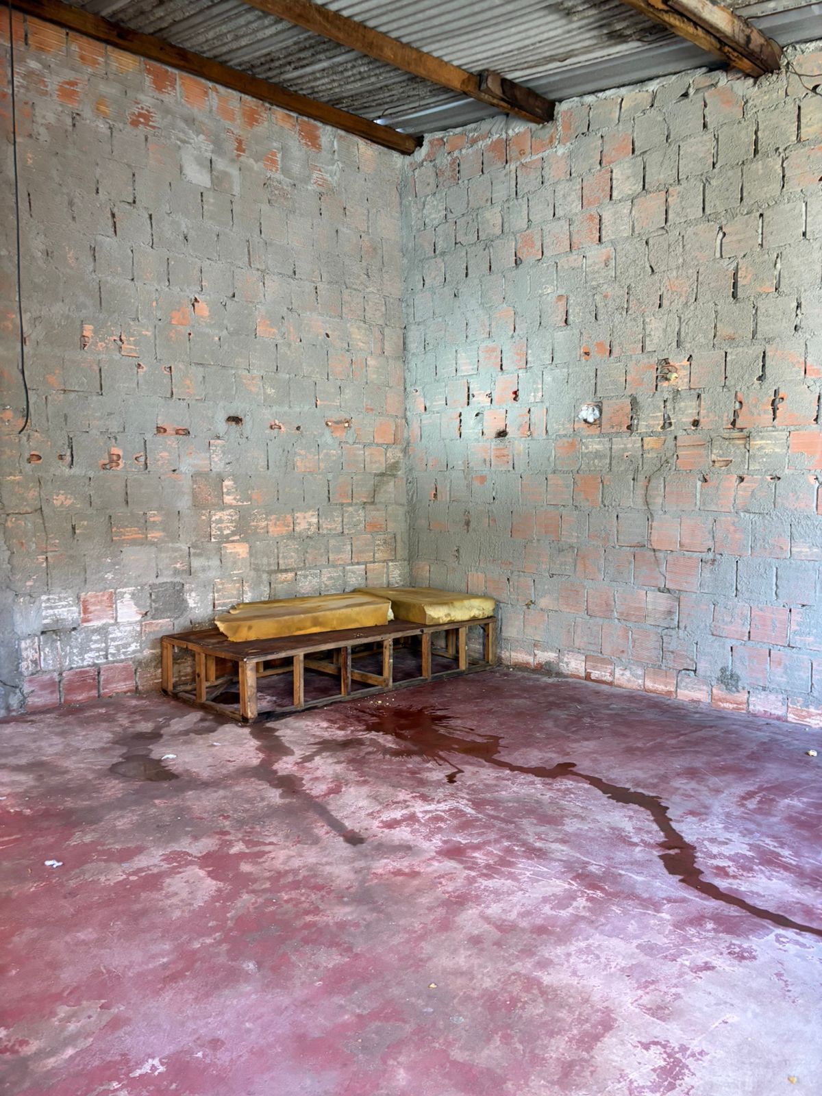 Irmãos são presos por maus-tratos à mãe idosa em Manaus