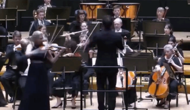 Maestro provoca acidente com violino de R$ 5,8 milhões em concerto na Finlândia