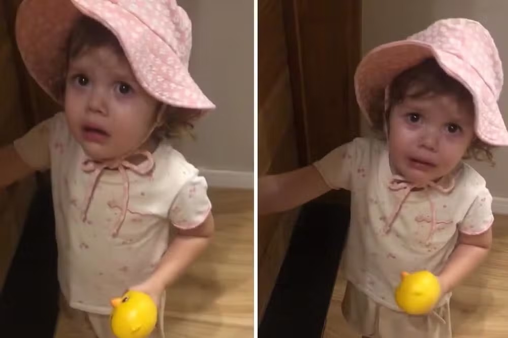 Menina de 2 anos procura pintinho e vídeo viraliza nas redes sociais