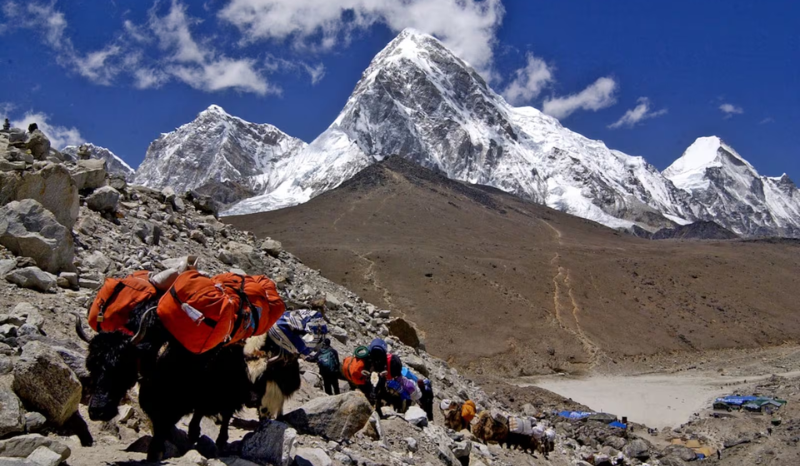 Estudo revela que urina de alpinistas contribui para derretimento do Everest
