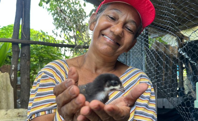 Projeto resgata Canela Preta e gera renda para assentados em Sergipe