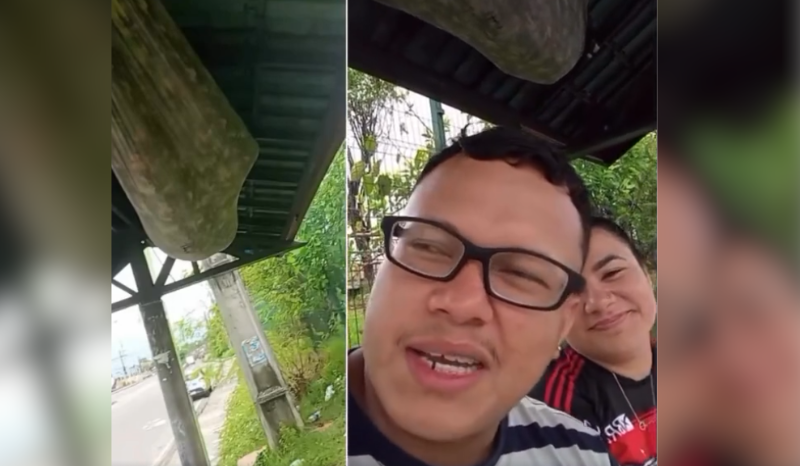 Casal flagra pessoa descansando em rede na parada de ônibus em Manaus