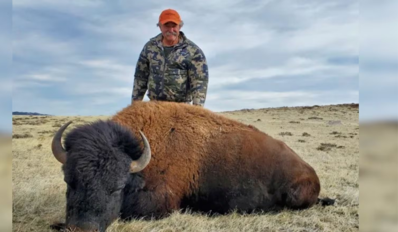 Milionário americano morre em ataque de elefantes durante safári no Gabão