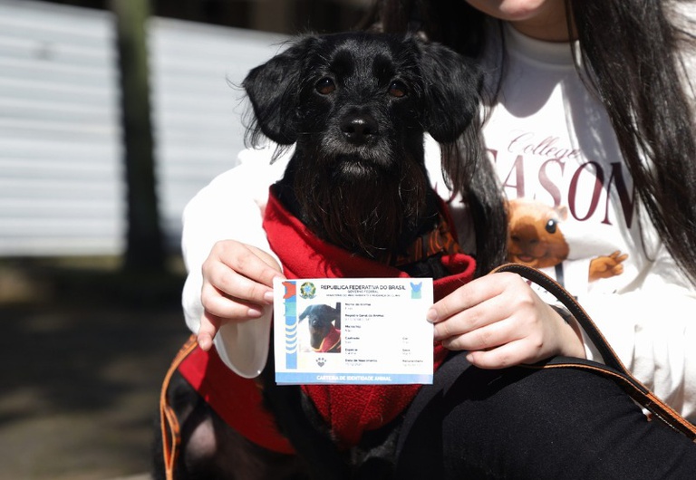 Brasil registra 1,3 milhão de cães e gatos; veja como cadastrar