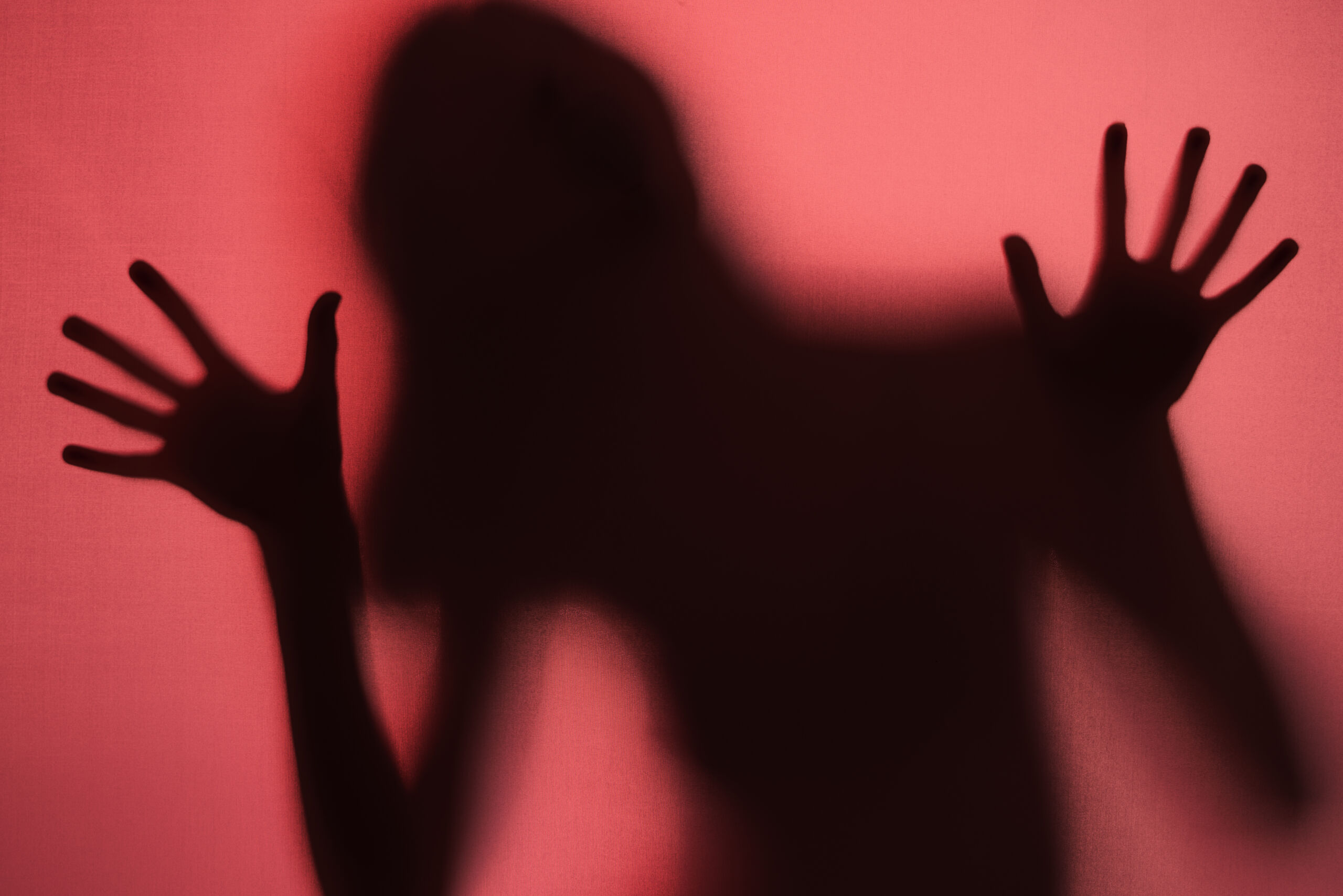 Senado Analisa Criação de Cadastro Nacional de Agressões Contra Mulheres