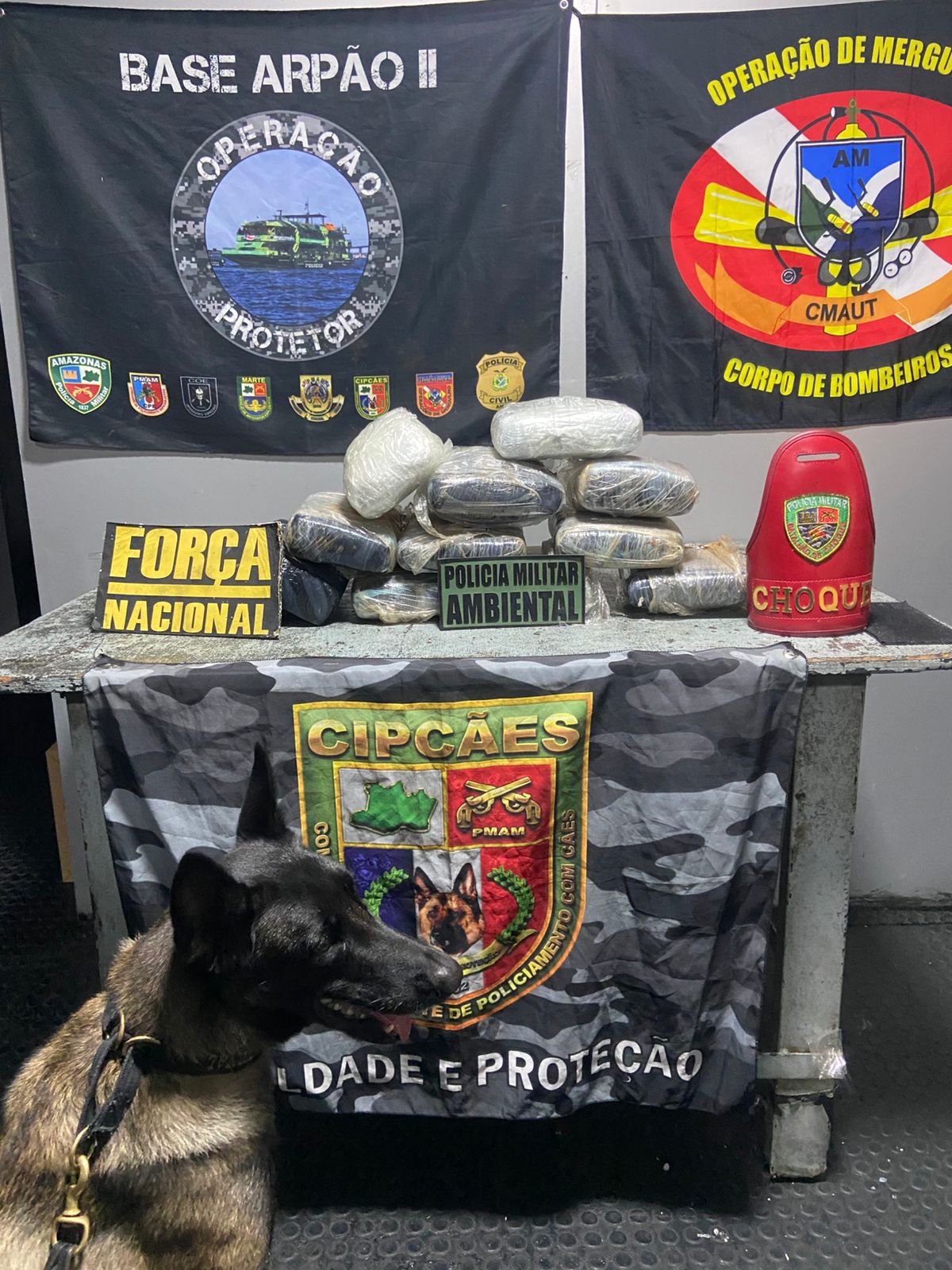 Mulher é presa com 11,3 kg de maconha em embarcação de Coari para Manaus