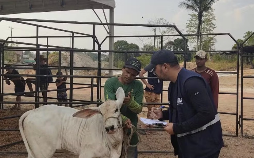 Raiva animal é confirmada em Presidente Figueiredo e preocupa moradores
