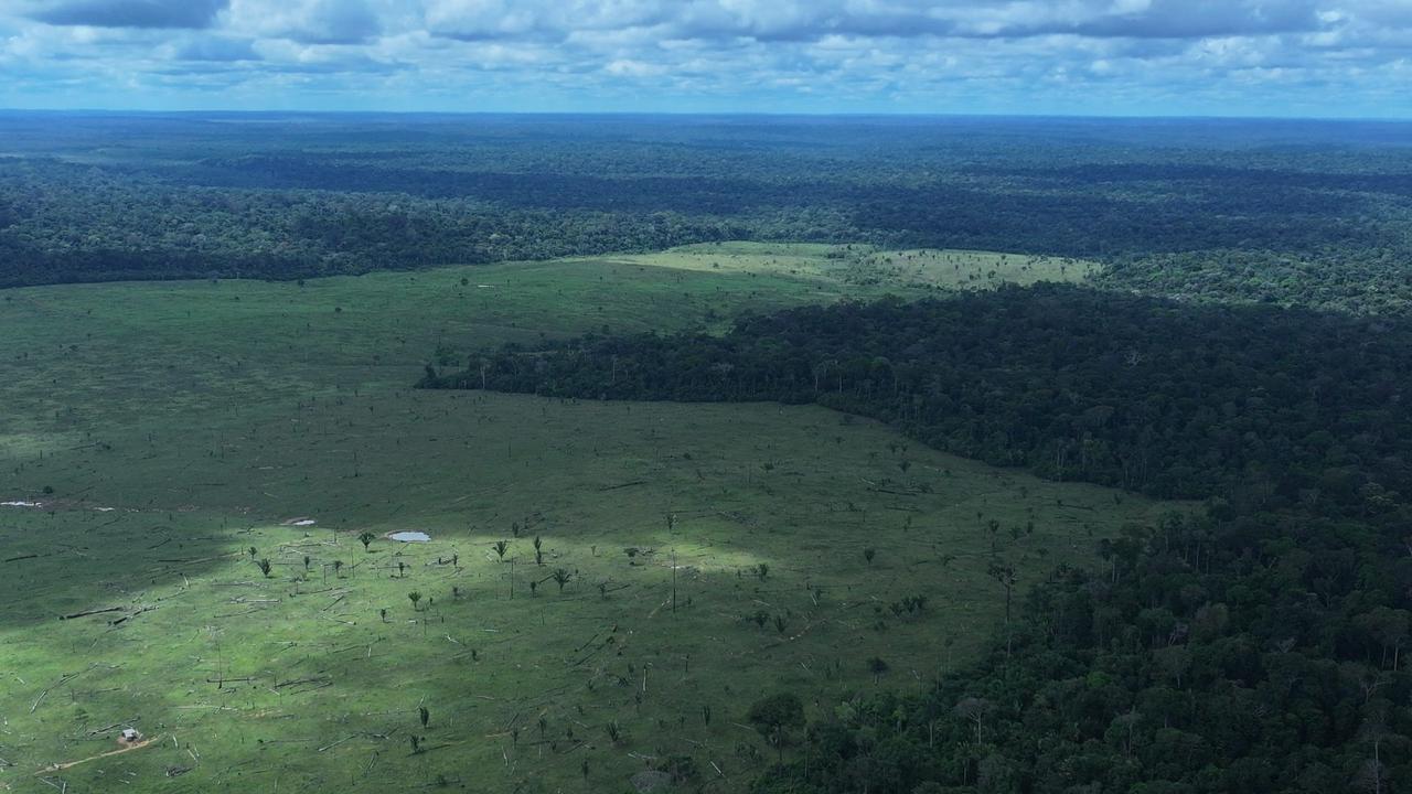 Operação Tamoiotatá 6 aplica mais de R$ 57 milhões em multas no Amazonas