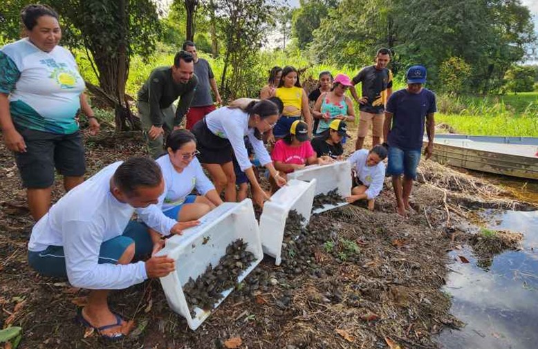 Ibama aloca R$ 119 mil para conservação de quelônios no Amazonas