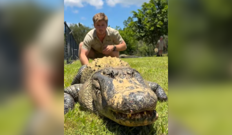 Robert Irwin compartilha como escapou de ataque de crocodilo gigante