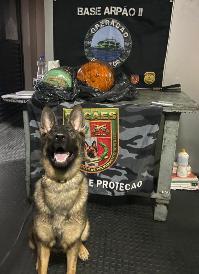 Cão policial encontra R$ 1,5 milhão em cocaína em barco no Amazonas