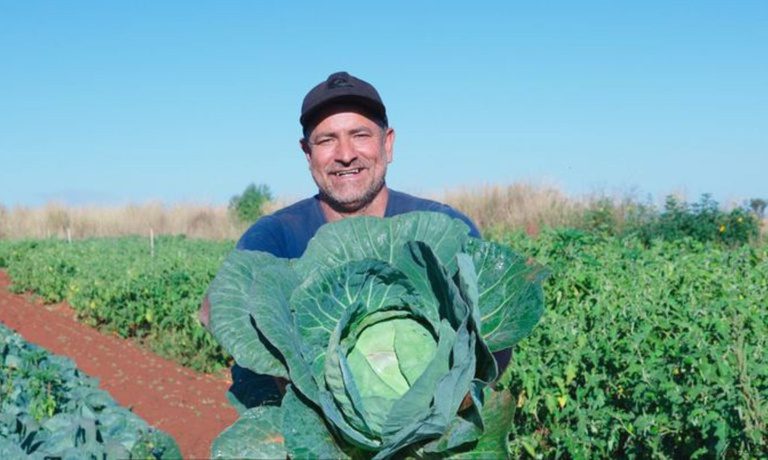 Agricultores Familiares Têm Prazo Até Dezembro para Renegociar Dívidas