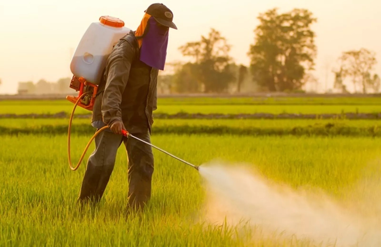 Governo Federal Inicia Monitoramento de Agrotóxicos em Bacias Hidrográficas