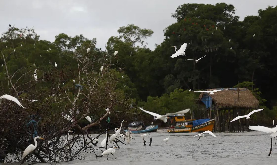 Programa Amazônia Soberana irá combater crimes nas fronteiras