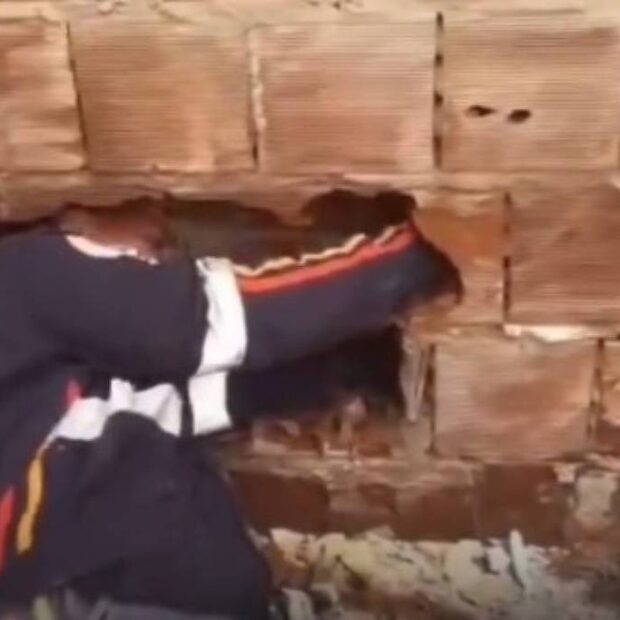 Recém-nascido é encontrado morto após ser abandonado na Paraíba
