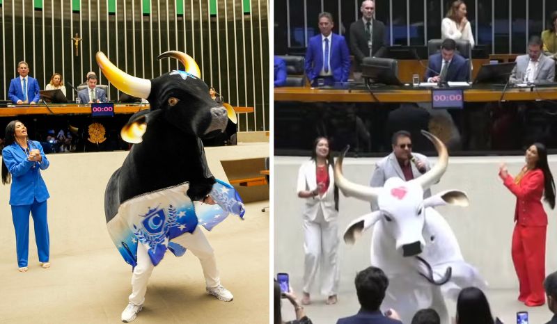 Bois Caprichoso e Garantido recebem homenagem na Câmara dos Deputados