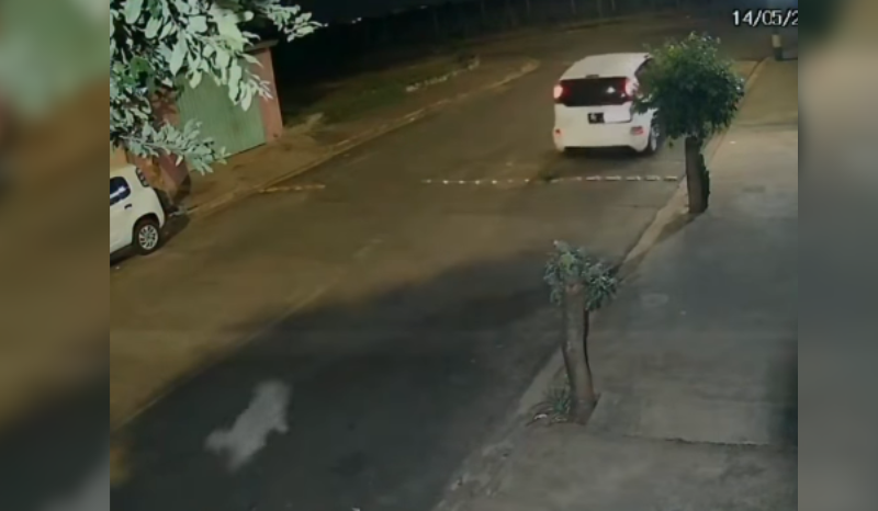 Câmeras registram abandono de cachorro em Ribeirão Preto