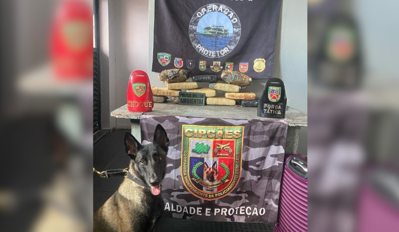 Polícia apreende 13 quilos de maconha com ajuda de cão em Coari