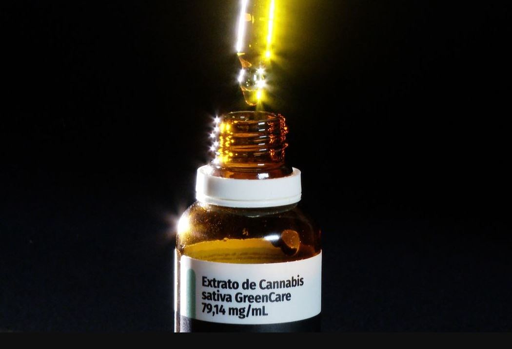 Crescimento de 29% nas importações de cannabis medicinal em 2026