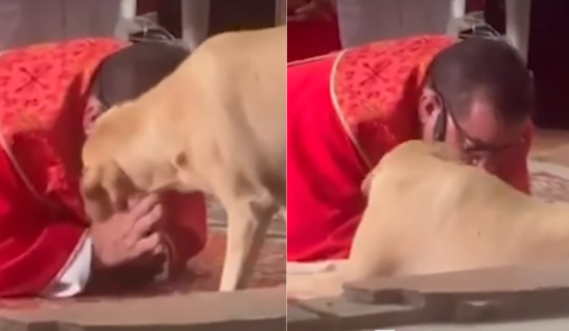 Cachorro se deita ao lado de padre durante missa na Colômbia