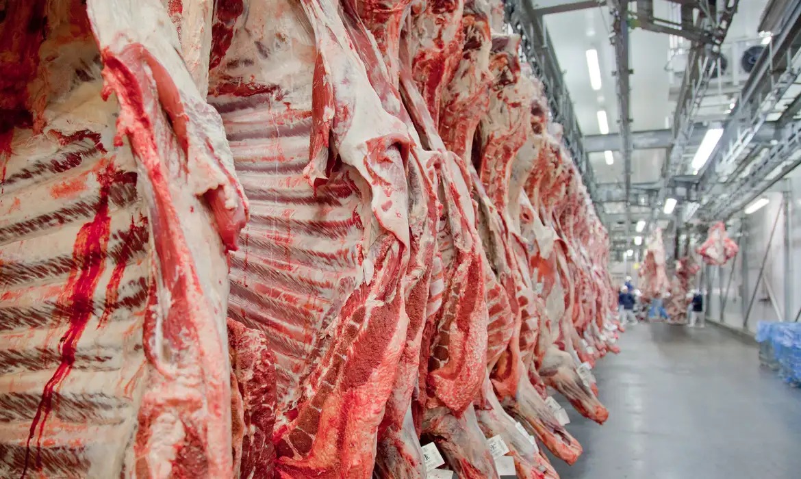 Governo Brasileiro Busca Reverter Veto da UE a Exportações de Carne