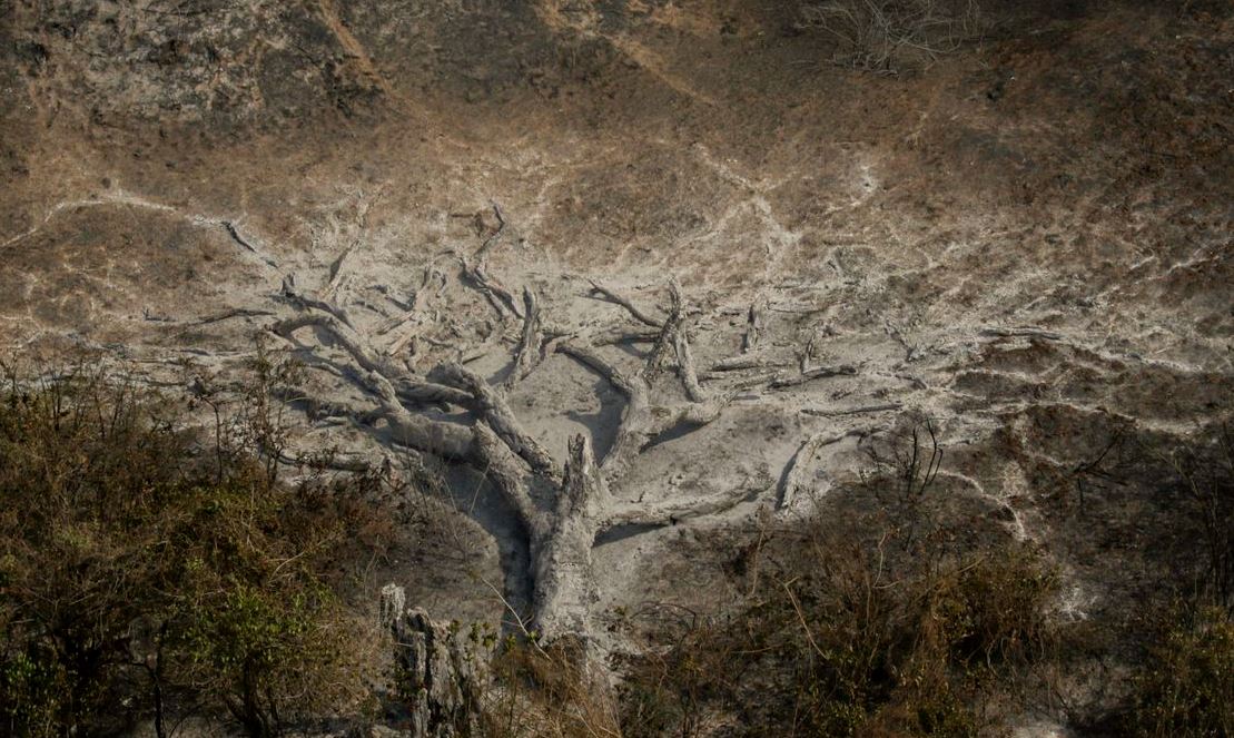 85% dos brasileiros sentem os efeitos das mudanças climáticas, revela pesquisa