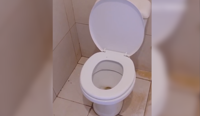 Cobra cascavel surpreende homem em vaso sanitário; vídeo viraliza