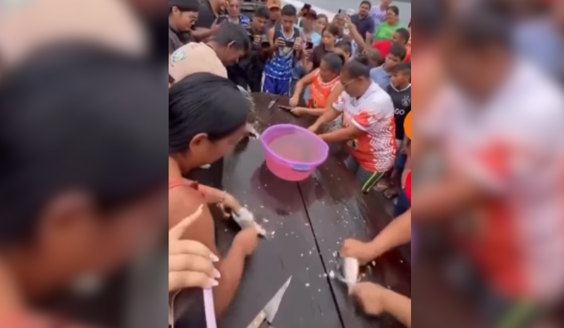 Competição de Tratamento de Jaraqui Viraliza em Borba; Confira!