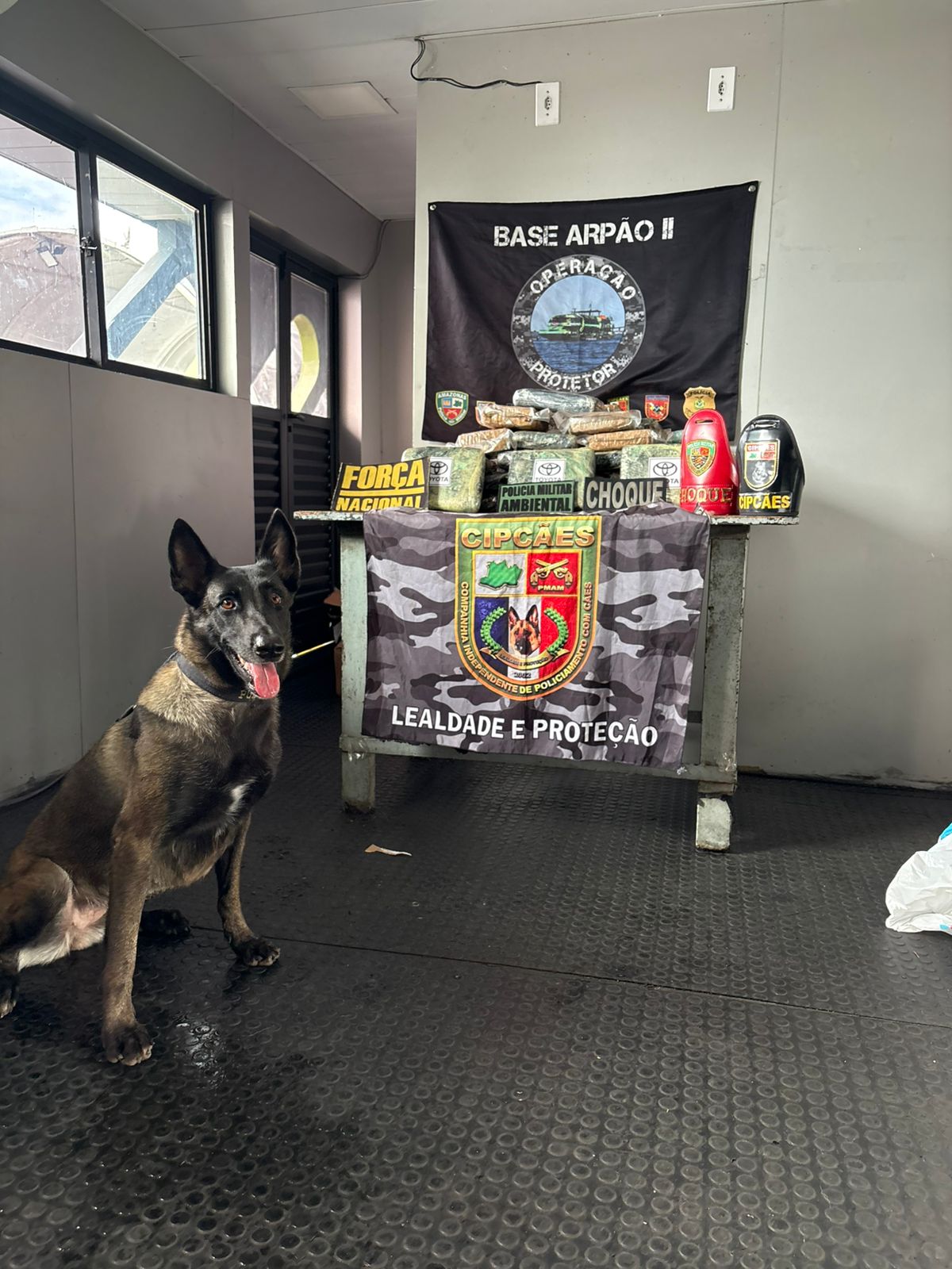 Polícia apreende mais de 42 kg de skunk em embarcação no Amazonas