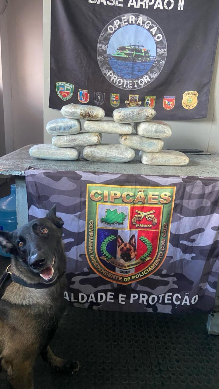 Maconha escondida em caixa de peixes é apreendida no Amazonas