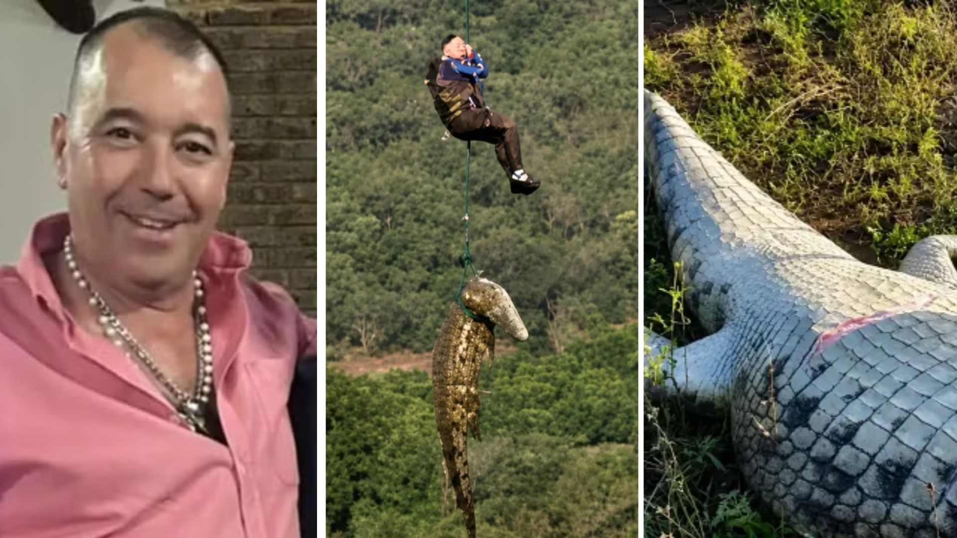 Restos mortais de empresário português são encontrados em crocodilo na África do Sul