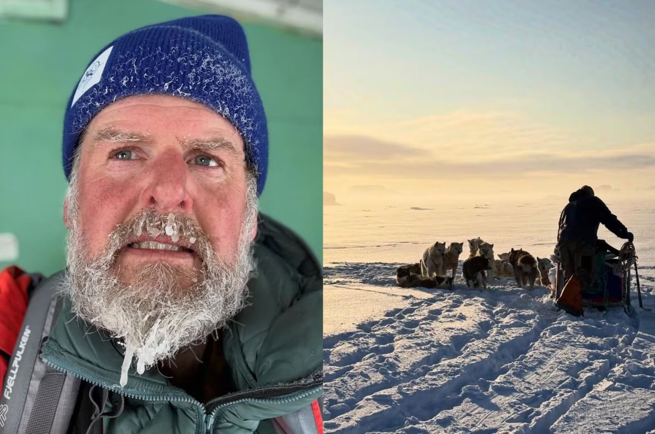 Chef britânico irá passar um mês na Groenlândia comendo carne de foca