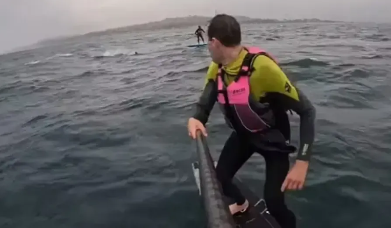 Surfista é seguido por tubarão em impressionante perseguição na Califórnia