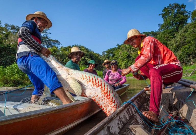 MMA inicia edital para manejo sustentável do pirarucu no Amazonas