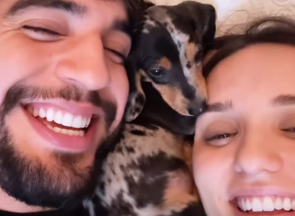 Entenda a polêmica do cão ‘salsicha mofado’ de R$ 19 mil da influenciadora