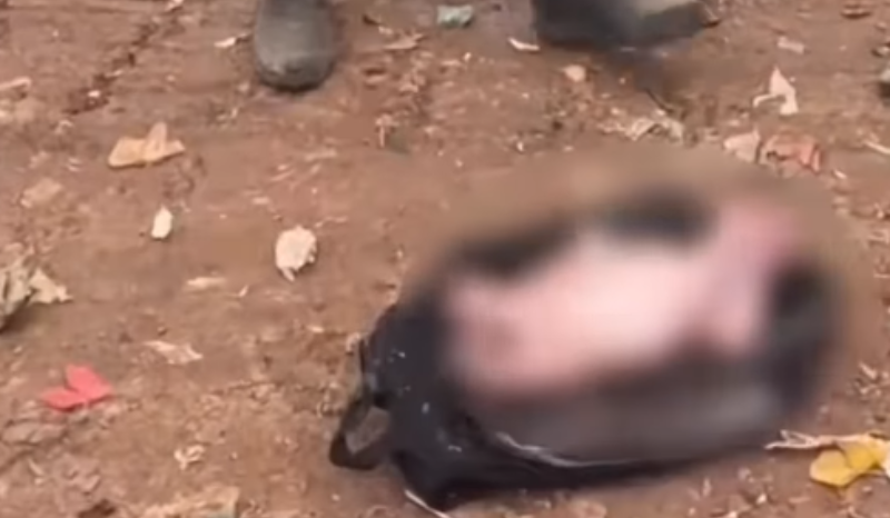 Mãe de cinco filhos é presa por abandonar bebê em lixão no AM