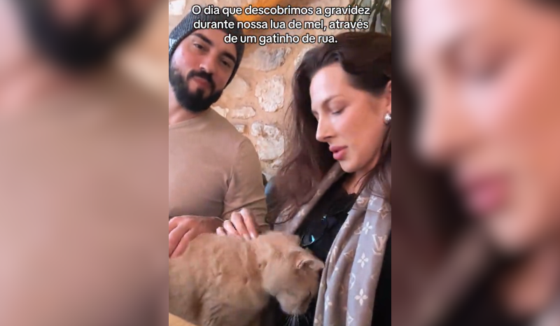 Gato em restaurante na Turquia ajuda brasileira a descobrir gravidez