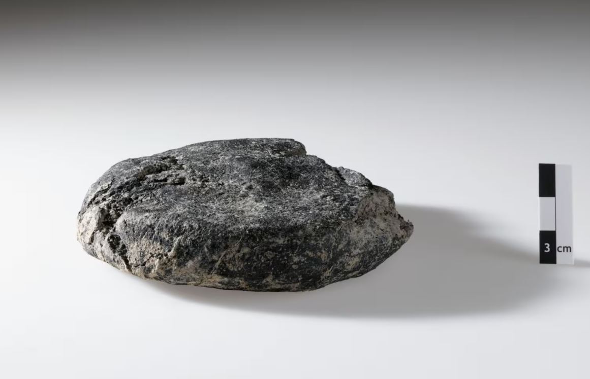 Pão romano de 2.000 anos é descoberto na Suíça em estado excepcional