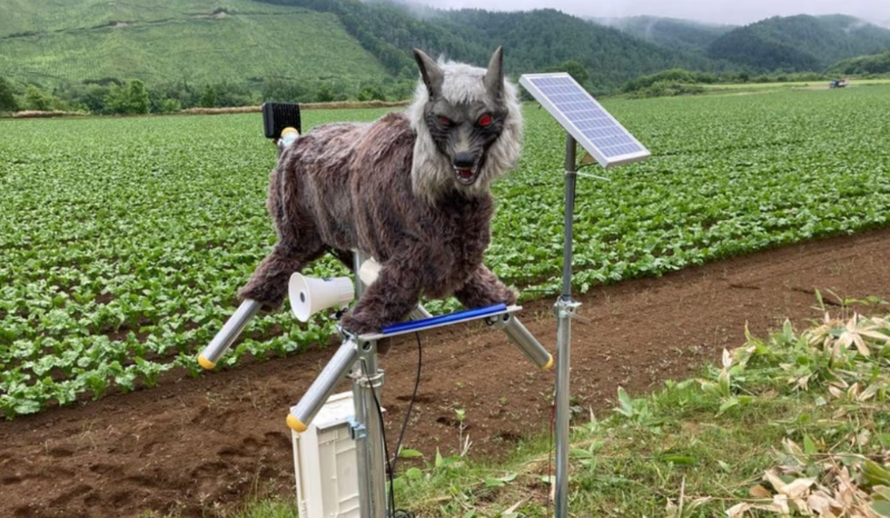 Robô 'Monster Wolf' é solução para ataques de ursos no Japão